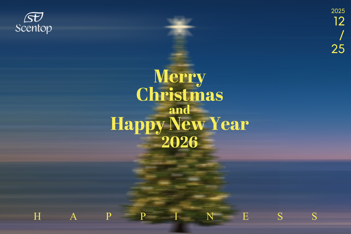 Merry Christmas 2025 to Our Valued Customers
